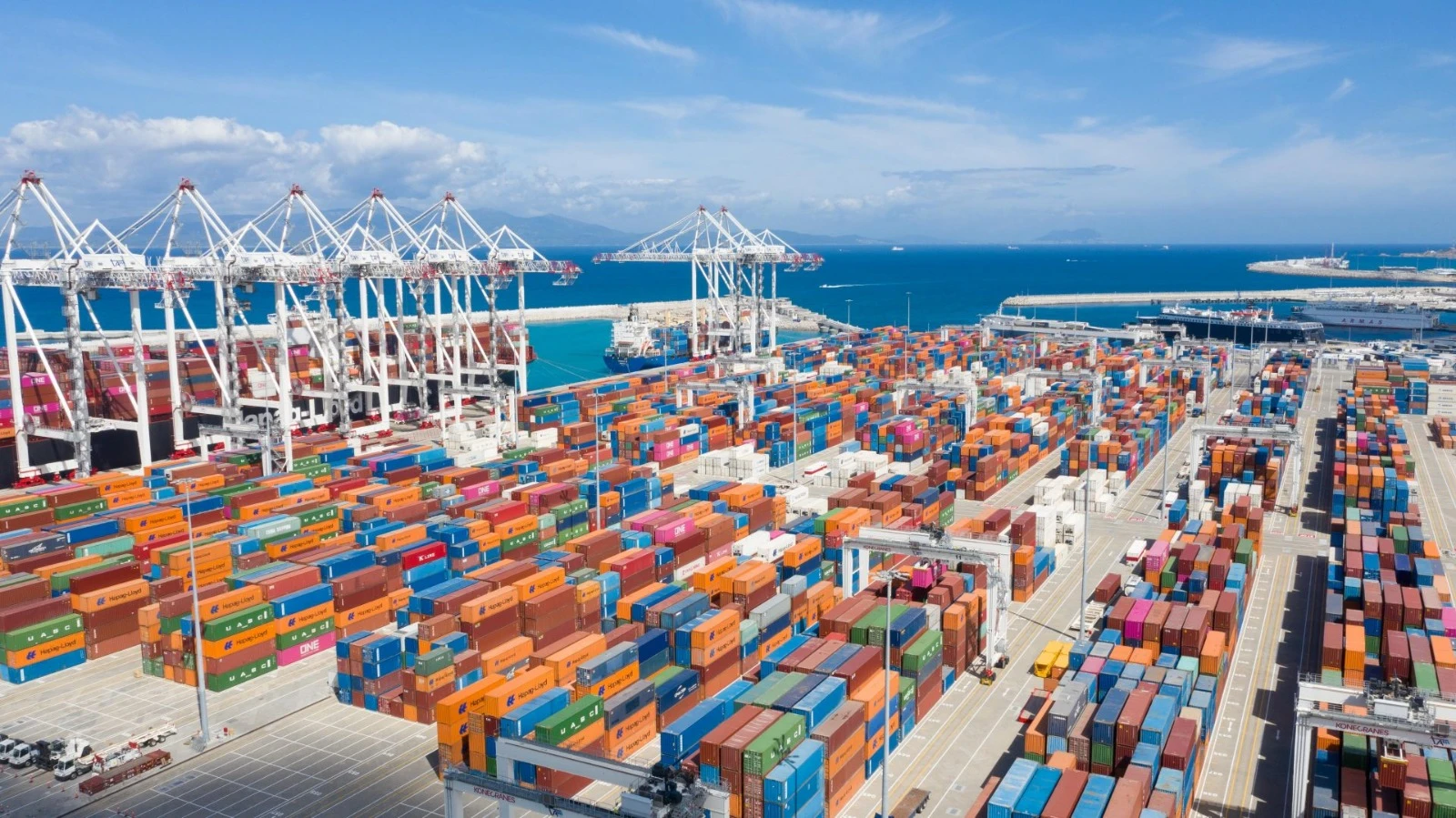Regulatory support and importation logistics for imported products in Morocco
